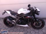 Triumph Speed Triple 1050 RS Mod 2019 Auspuff Kennz.halt - SPEED TRIPLE