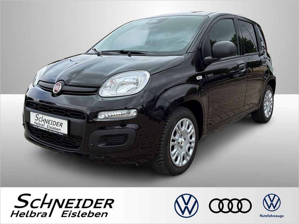 Image of Fiat Panda
