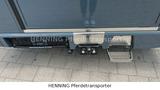 Nissan Interstar *NEU* 3-Sitzer Pferdetransporter - Angebote
