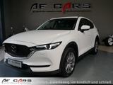 Mazda CX-5 Sports-Line AWD Sports Line Schiebedach HUD - Mazda mit Diesel-Antrieb: Weiß, Leder