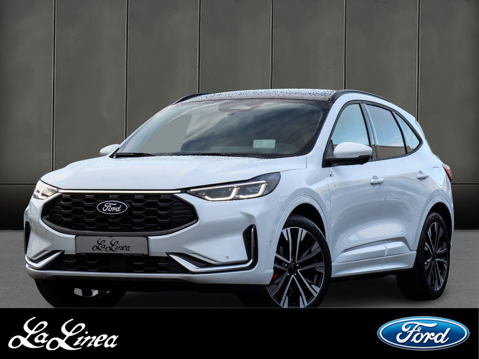 Ford Kuga Hybrid ST-Line X Panorama-Schiebedach, Wint