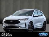 Ford Kuga Hybrid ST-Line X Panorama-Schiebedach, Wint - gebrauchte Ford SUV & Geländewagen