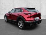 Mazda CX-30 Selection 2WD HUD Navi Leder Memory Sitze  - Mazda CX-30 Gebrauchtwagen