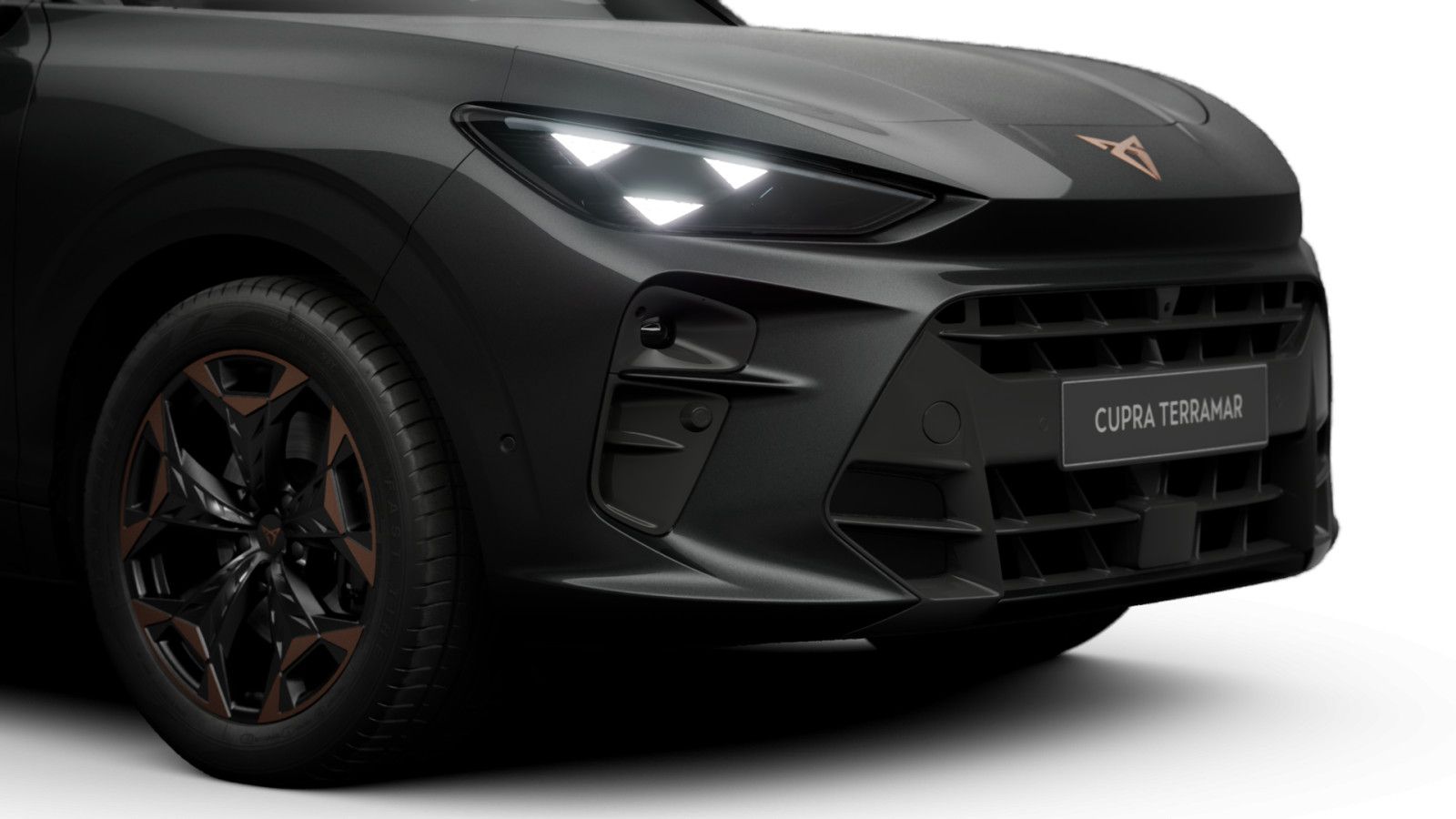 Cupra Terramar - Bild 8