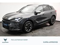 Cupra Terramar - Vorschau Bild 1