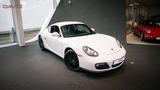 Porsche Cayman*Approved 09/2026*Scheckheftgepflegt* - Porsche: Approved