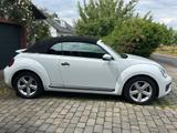Volkswagen Beetle CABRIO 1.2TSI BMT Design,TOP-AUTO WIE NEU - Volkswagen Beetle in Düsseldorf