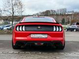 Ford Mustang GT 5.0 V8 Aut.Kamera - Ford Mustang Gebrauchtwagen