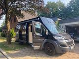 Clever Jumper - Clever Flex  636  - Clever Flex