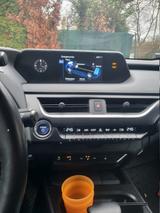 Lexus UX 250h - Style Edition - Lexus UX aus 2022