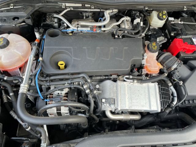 Fahrzeugabbildung Ford Kuga 2.0 EcoBlue, ST-Line X Autom. Navi, Sitzhei