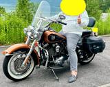 Harley-Davidson FS 2