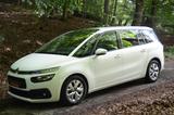 Citroën Grand C4 Picasso/Spacetourer Live Plus - Citroën Grand C4 Picasso / SpaceTourer aus 2020