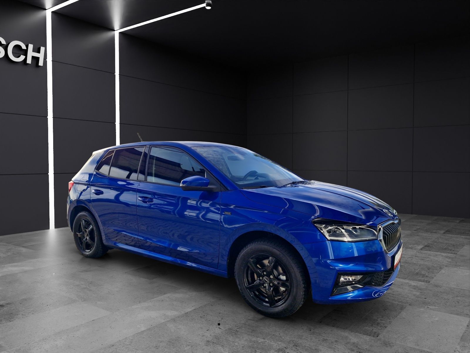 Fahrzeugabbildung SKODA Fabia Tour ACC KLIMA LED