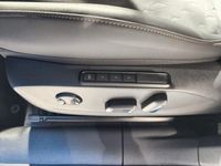 Cupra Terramar - Vorschau Bild 11