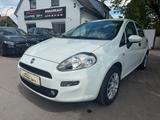 Fiat Punto MYSTYLE *WENIG KM* - Fiat Punto: Weiß