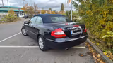 Mercedes-Benz CLK 280 Cabrio - sehr gepflegt, neue Bremsen vor - Mercedes-Benz CLK 280 aus 2005