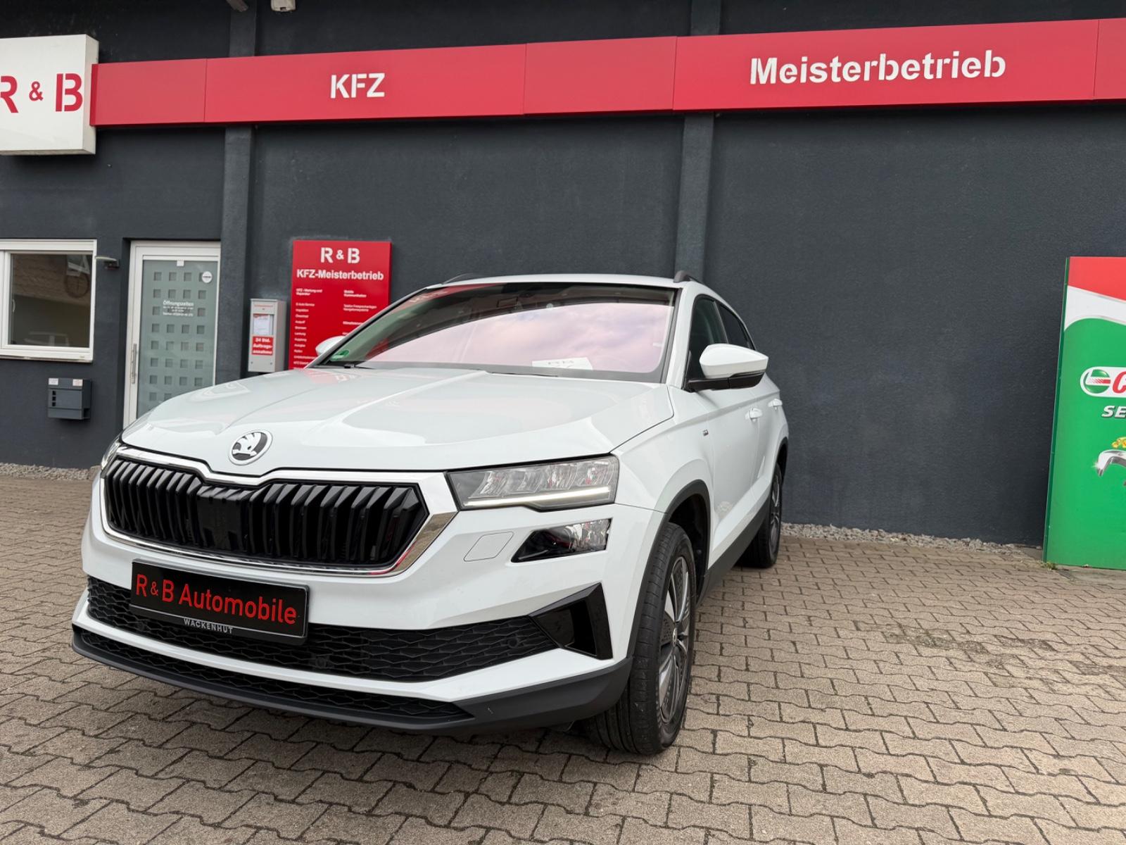 Skoda Karoq Tour 2.0 TDI *Matrix Led*RFK*AHK*1xHand
