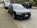 Audi A5 3.0 TDI (DPF) quattro - - gebrauchte Audi A5 aus dem Jahr 2007