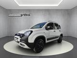 Fiat Panda Cross MY21 City Cross 4x4 0.9 TwinAir - Fiat Panda in Dresden