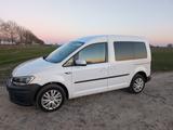 Volkswagen Caddy PKW Trendline BMT - Volkswagen Caddy mit CNG-Antrieb: Automatik
