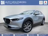 Mazda CX-30 2.0l "Selection" "DES-P" "PRE-P" "BOSE" - Mazda CX-30 Gebrauchtwagen in Berlin