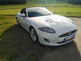Jaguar XKR 5.0 V8 XKR Cabriolet R - Kompressor - gebrauchte Jaguar Roadster