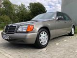 Mercedes-Benz 300 SE 2,8 W140, Sammler Zustand - Mercedes-Benz S-Klasse: W140