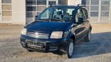 Fiat Panda 1.2 8V Climbing 4X4*AHK*KLIMA - Fiat Panda Climbing mit Benzin-Antrieb