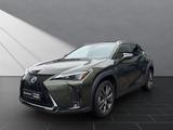 Lexus UX 250h*FSPORT-D*1HD*ALLWR*CARPLAY* 15J-GARANTIE - gebrauchte Lexus UX aus dem Jahr 2024