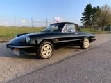 Alfa Romeo 2000 Spider Top Zustand - gebrauchte Alfa Romeo Spider aus dem Jahr 1985