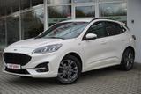 Ford Kuga 2.0 EcoBlue ST-Line X 4x4 B&O Kamera HeadUp - Ford Kuga ST-Line mit Diesel-Antrieb