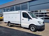 Mercedes-Benz Sprinter 313 CDI/ Eis/ Ice/-40/ 5+5 Turen/ Carls - Mercedes-Benz Koffer C4 sprinter 313
