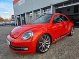 Volkswagen Beetle Lim. Exclusive Sport *20 Zoll*Pano*Leder - Volkswagen Beetle: Exclusive Sport