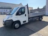 Peugeot Boxer *Pritsche/88KW/Tüv 09-2027* - Angebote