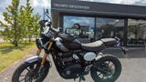 Triumph Scrambler 400X - TRIUMPH SCRAMBLER 400 X