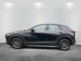 Mazda CX-30 "SELECTION" "ACT-P" M Hybrid - Mazda CX-30 Gebrauchtwagen in Berlin