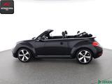 Volkswagen Beetle Cabrio 1.4 TSI ALLSTAR LEDER,BI-XENON,1HD - VW Beetle Gebrauchtwagen in Berlin