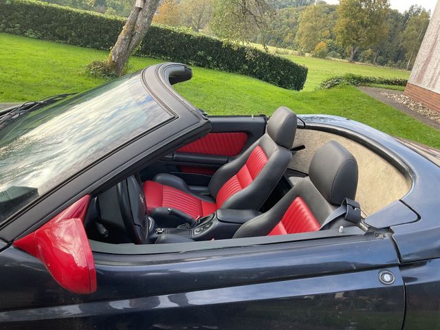 Alfa Romeo Spider 916 Cabrio Bastlerfahrze...