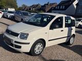 Fiat Panda 1.2 8V MyLive/TÜV NEU/KLIMA/2HD/EL-FENSTER - Fiat Panda Gebrauchtwagen in Essen