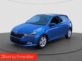 Skoda Fabia 1.0 TSI Ambition AHK NAVI ACC PANO - Skoda Fabia mit Benzin-Antrieb: Schiebedach