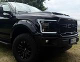 Ford F 150 3.5 EcoBoost XLT Sport Raptor - Ford F 150: Xlt