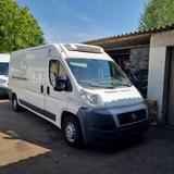 Fiat Ducato Thermo King 20 - Fiat Ducato Gebrauchtwagen in Stuttgart
