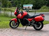 Triumph Tiger 955i - Offers matching your search criteria
