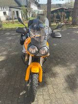 Moto Guzzi Stelvio 1200 ABS - Goldgelb - MOTO GUZZI STELVIO