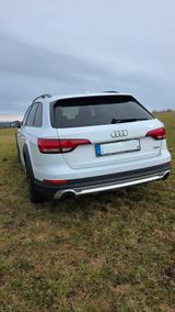 Audi A4 Allroad 45 TFSI S tronic quattro Avant - - Audi A4 Allroad Gebrauchtwagen