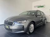 Skoda Octavia 1.5TSI Combi LED|Sitzhzg|Climatronic|PDC - Skoda Octavia aus 2025