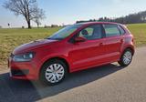 Volkswagen VW Polo V (6R) 1.4 Comfortline /treuer Begleiter