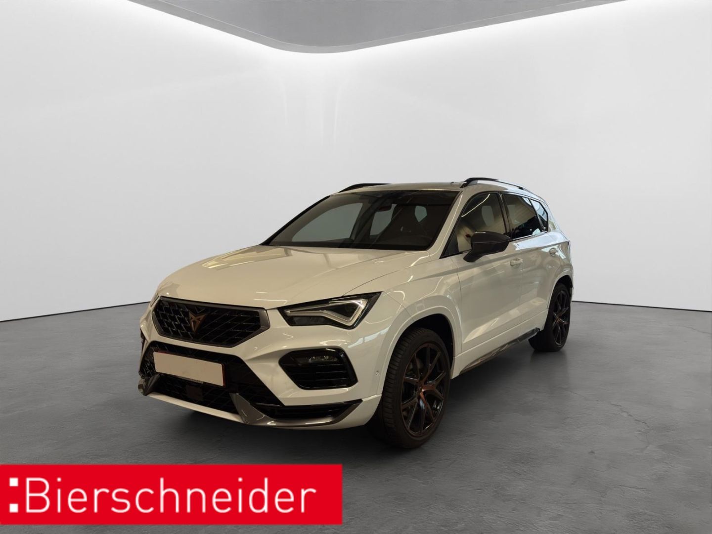 Cupra Ateca 2.0 TSI DSG 4Drive AHK LED NAVI PANO