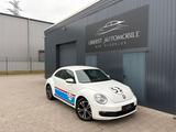 Volkswagen Beetle*Tempomat*Klima*PDC* - Volkswagen Beetle: Weiß
